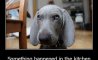 Fun Pic - Donnerstags Fun PicDump #152 - 120