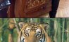 Fun Pic - Donnerstags Fun PicDump #152 - 128