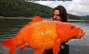 Fun Pic - Donnerstags Fun PicDump #152 - 132