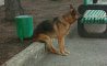 Fun Pic - Donnerstags Fun PicDump #152 - 136