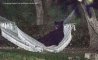 Fun Pic - Donnerstags Fun PicDump #152 - 140