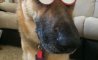 Fun Pic - Donnerstags Fun PicDump #152 - 144