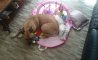 Fun Pic - Donnerstags Fun PicDump #152 - 148