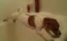 Fun Pic - Donnerstags Fun PicDump #152 - 36