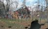 Fun Pic - Donnerstags Fun PicDump #152 - 80