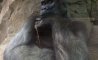 Fun Pic - Donnerstags Fun PicDump #154 - 64