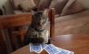 Fun Pic - Donnerstags Fun PicDump #155 - 29