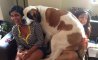 Fun Pic - Donnerstags Fun PicDump #155 - 45