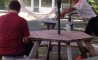 Fun Pic - Donnerstags Fun PicDump #155 - 81
