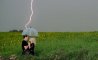 Fun Pic - Donnerstags Fun PicDump #162 - 110