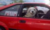 Fun Pic - Donnerstags Fun PicDump #162 - 32