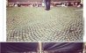 Fun Pic - Donnerstags Fun PicDump #168 - 19