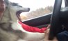Fun Pic - Donnerstags Fun PicDump #168 - 43