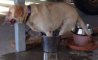 Fun Pic - Donnerstags Fun PicDump #168 - 55