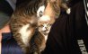 Fun Pic - Donnerstags Fun PicDump #168 - 59