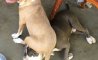 Fun Pic - Donnerstags Fun PicDump #168 - 75