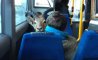 Fun Pic - Donnerstags Fun PicDump #169 - 119