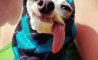 Fun Pic - Donnerstags Fun PicDump #169 - 24