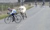 Fun Pic - Donnerstags Fun PicDump #170 - 126
