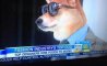Fun Pic - Donnerstags Fun PicDump #171 - 91
