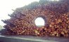 Fun Pic - Donnerstags Fun PicDump #171 - 99