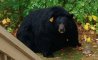Fun Pic - Donnerstags Fun PicDump #172 - 143