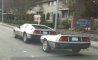 Fun Pic - Donnerstags Fun PicDump #172 - 175