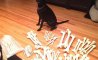 Fun Pic - Donnerstags Fun PicDump #172 - 63