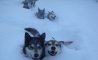 Fun Pic - Donnerstags Fun PicDump #176 - 14