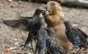 Fun Pic - Donnerstags Fun PicDump #176 - 26