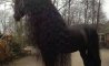 Fun Pic - Donnerstags Fun PicDump #178 - 101