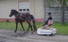 Fun Pic - Donnerstags Fun PicDump #178 - 17