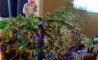 Fun Pic - Donnerstags Fun PicDump #178 - 20