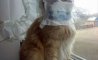 Fun Pic - Donnerstags Fun PicDump #178 - 21