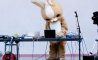 Fun Pic - Donnerstags Fun PicDump #178 - 68