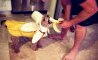 Fun Pic - Donnerstags Fun PicDump #178 - 97