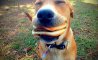 Fun Pic - Donnerstags Fun PicDump #182 - 144