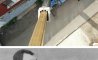 Fun Pic - Donnerstag Fun PicDump #204 - 138