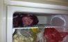 Fun Pic - Donnerstag Fun PicDump #211 - 54