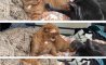 Fun Pic - Donnerstag Fun PicDump #211 - 78