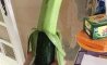 Fun Pic - Donnerstag Fun PicDump #249 - 58