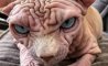 Fun Pic - Donnerstag Fun PicDump #299 - 88