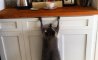 Fun Pic - Donnerstag Fun PicDump #352 - 22