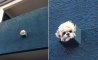 Fun Pic - Donnerstag Fun PicDump #352 - 46