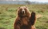 Fun Pic - Donnerstag Fun PicDump #395 - 130