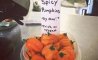 Fun Pic - Donnerstag Fun PicDump #395 - 82