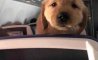 Fun Pic - Donnerstag Fun PicDump #412 - 115