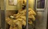 Fun Pic - Donnerstag Fun PicDump #481 - 112