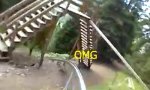 Movie : Sommerrodelbahn Extreme