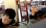 Lustiges Video - Pasta-Narkose